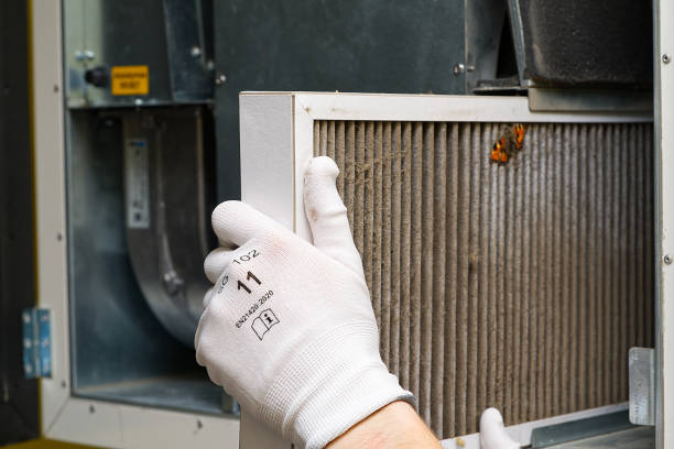 Best HVAC Maintenance and Cleaning  in Teutopolis, IL