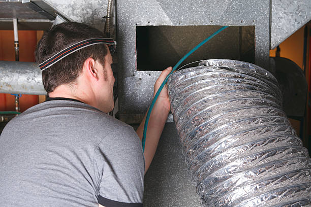 Best Professional Duct Cleaning Services  in Teutopolis, IL