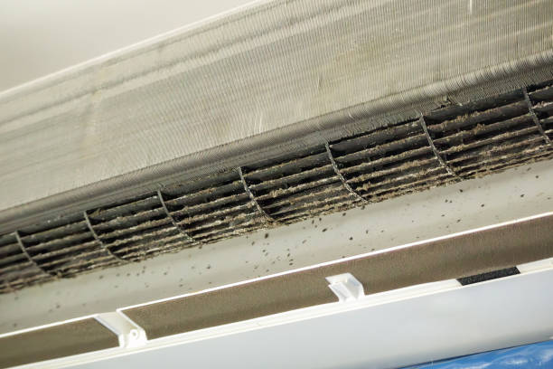 Best HVAC Maintenance and Cleaning  in Teutopolis, IL