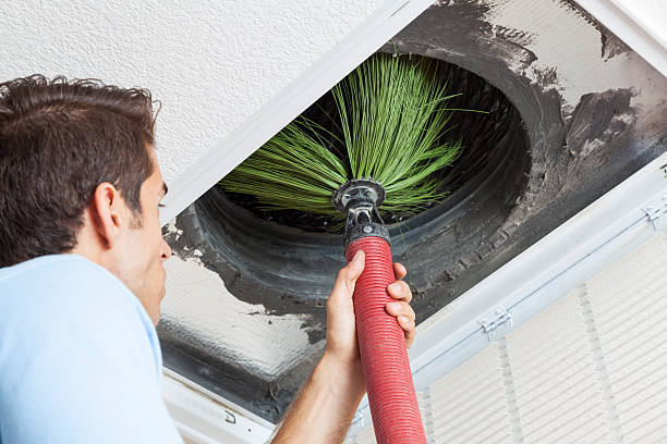 Best Local Air Duct Cleaning Services  in Teutopolis, IL